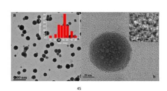 紫杉醇纳米粒图片
